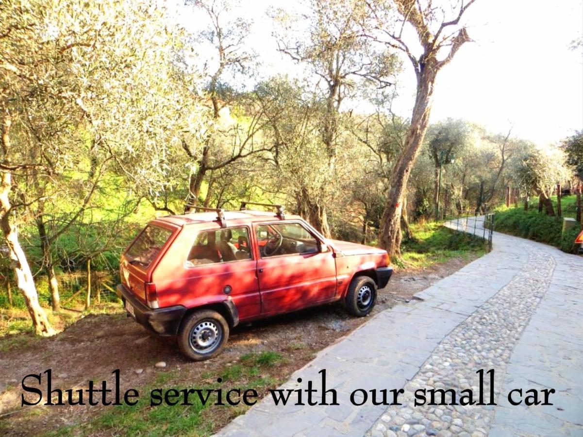 Agriturismo Terre Rosse Farm stay *