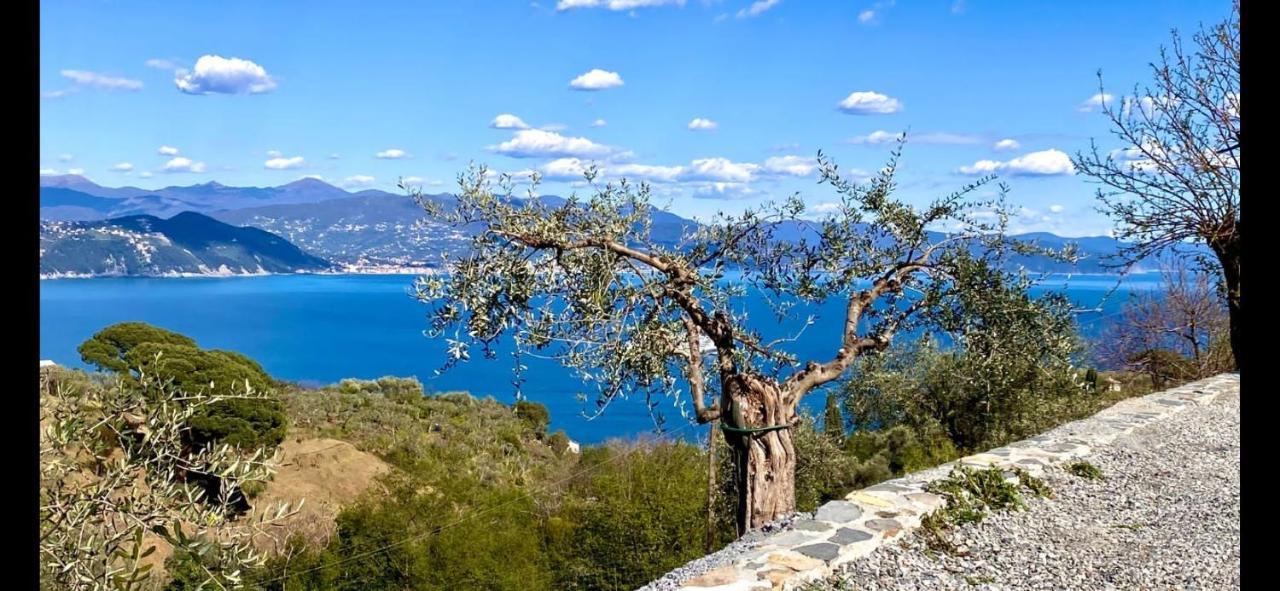 Farm stay Agriturismo Terre Rosse Portofino