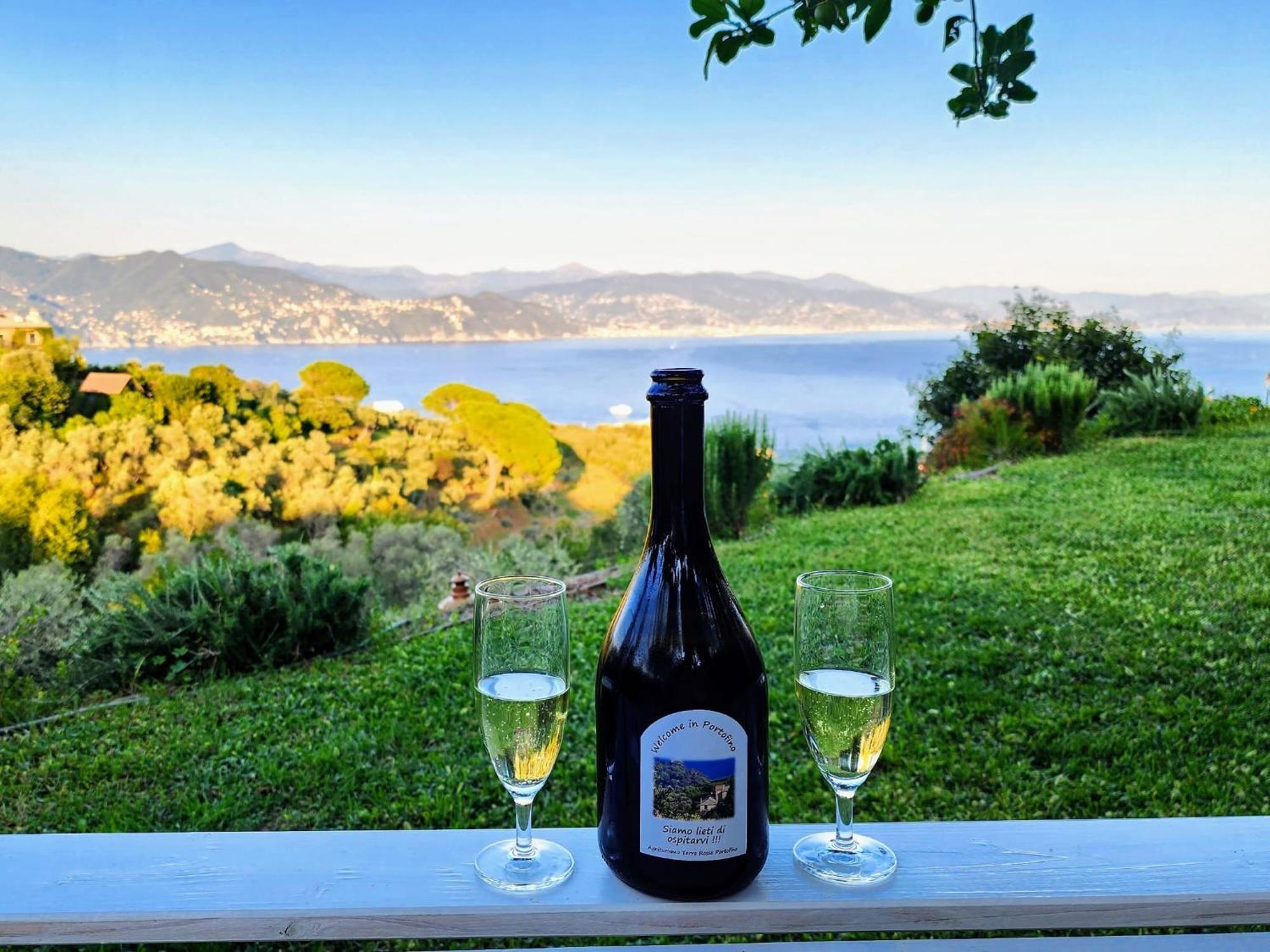 Agriturismo Terre Rosse Farm stay