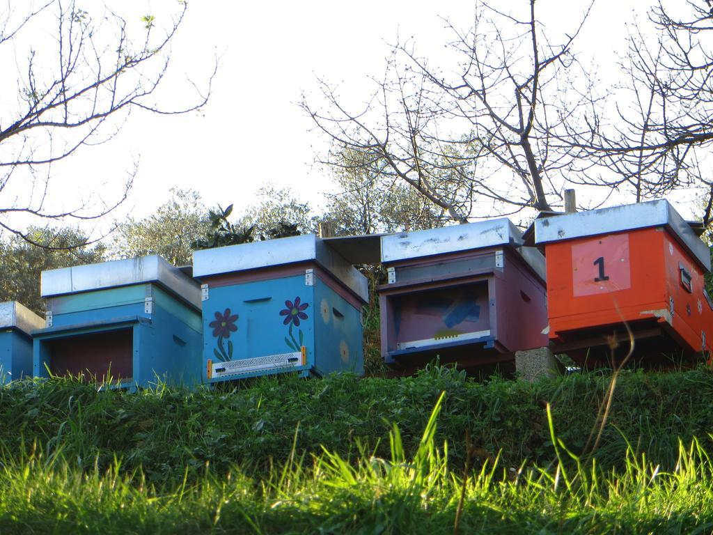 Farm stay Agriturismo Terre Rosse