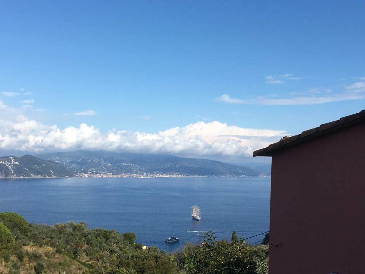 Agriturismo Terre Rosse *